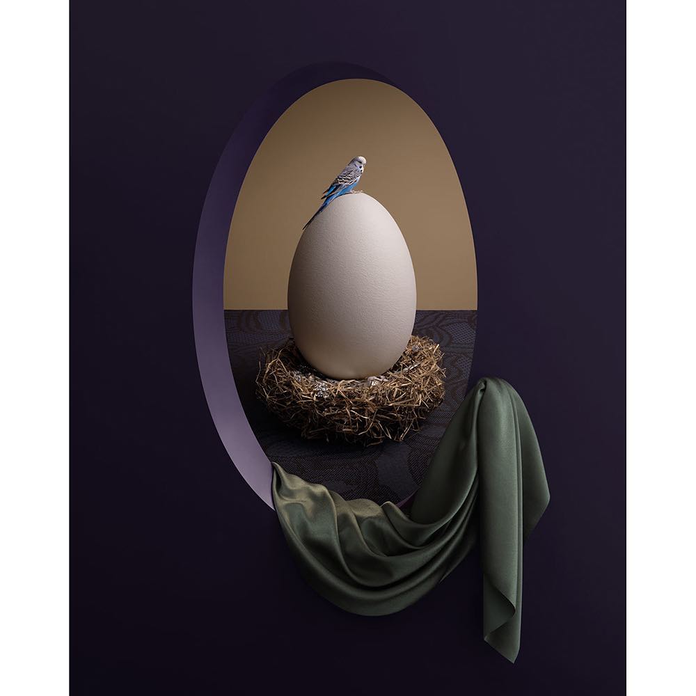 Still life of blue parakeet perched atop a large white egg in a nest with a flowing green drape against a purple backdrop.