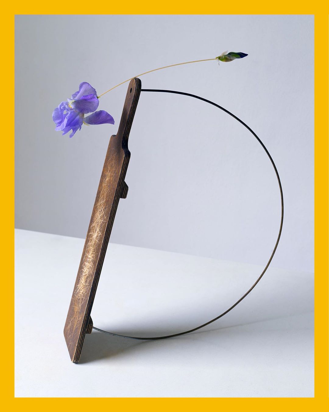 Minimalist still life featuring a purple flower, wooden paddle-like vase, and wire arc against a neutral backdrop with a yellow border.