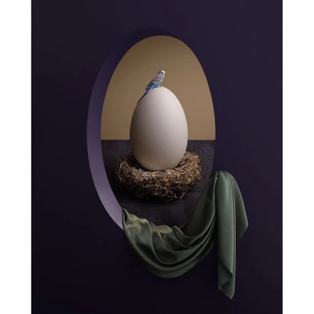 Carl Kleiner