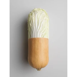Studio photograph of a combined napa cabbage and butternut squash on a neutral grey seamless background
