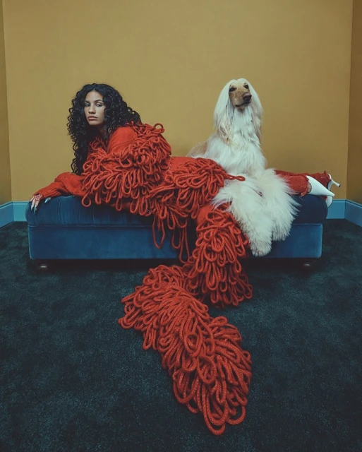 Woman in textured red outfit poses with an Afghan Hound on a velvet blue ottoman against a mustard yellow and teal backdrop.