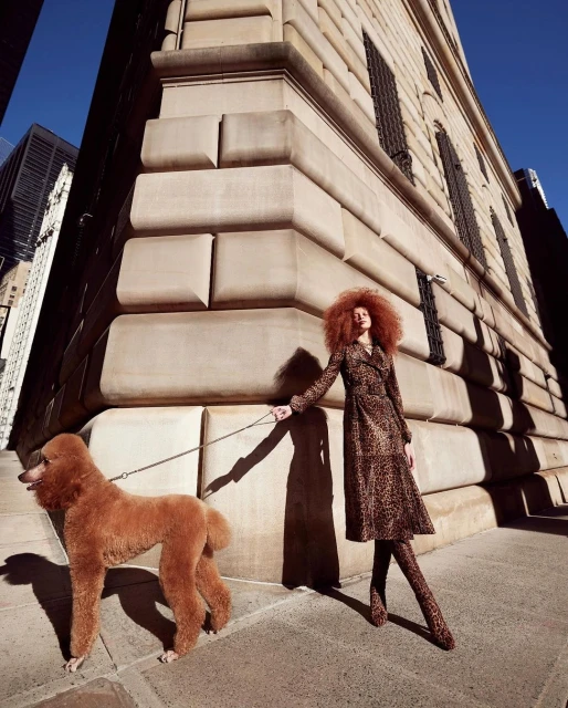A woman in a patterned coat walks a standard poodle on a city sidewalk, with tall buildings in the background on a sunny day.