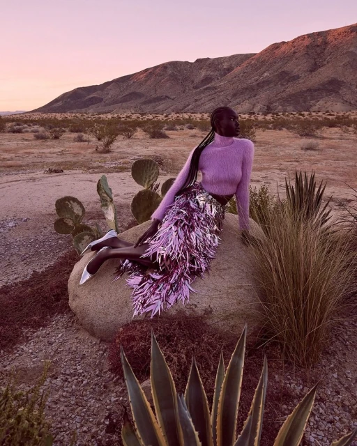 Woman in lavender sweater and fringe skirt poses on rock in desert landscape at sunset. Mountains and cacti in background.