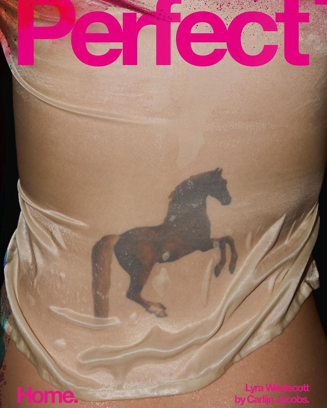 Magazine cover featuring a person wearing a light beige top with an image of a horse printed on the front, with pink text overlay.