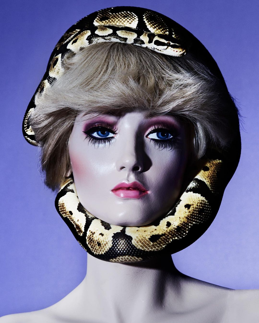 Close-up studio shot of a mannequin head adorned with a ball python wrapped around its head and neck against a blue background.