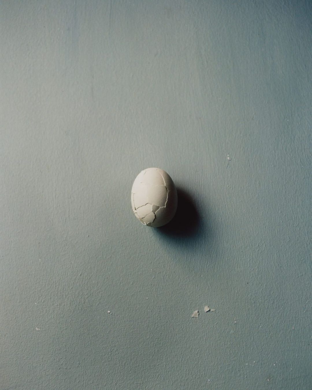 Minimalist studio shot: Cracked egg on pale blue surface. Soft lighting accentuates eggshell texture and subtle background details.