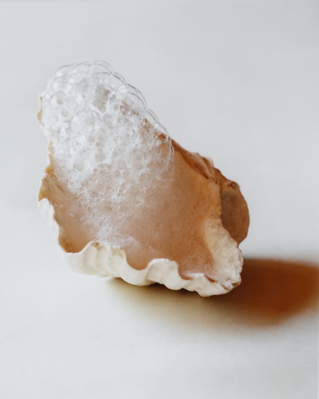 Close-up studio shot of a textured seashell filled with clear, translucent bubbles, casting a soft shadow on a light surface.