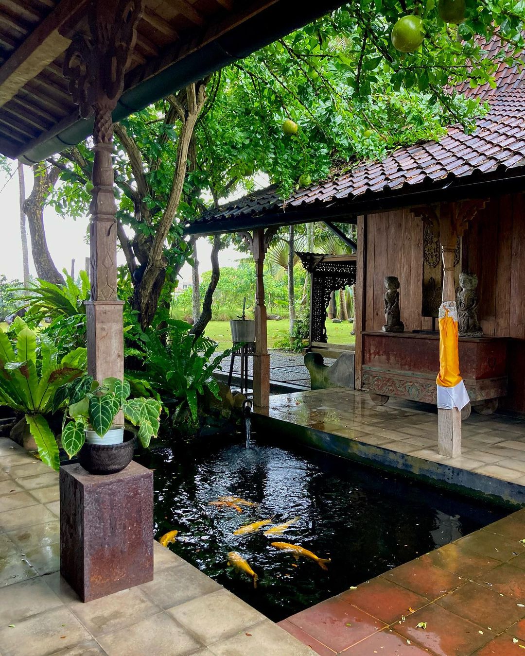 Outdoor patio with koi pond featuring golden fish, framed by tropical foliage, plants, and the architectural elements of a traditional building.