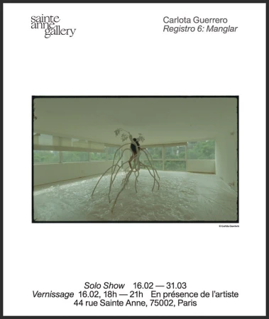 Gallery exhibit features an indoor display of an abstract tree-like structure with a person in an all-white room with glass window panes.
