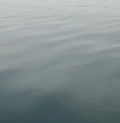 Monochromatic image of calm water surface with subtle ripples, creating a peaceful and serene visual effect in shades of gray and blue.