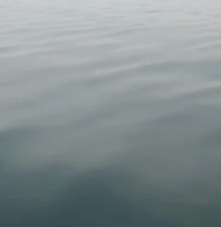 Monochromatic image of calm water surface with subtle ripples, creating a peaceful and serene visual effect in shades of gray and blue.