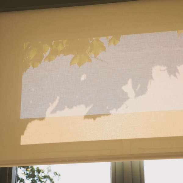 Cream-colored roller shade with silhouetted leaves visible on the window covering, creating an indoor nature-themed decorative effect.