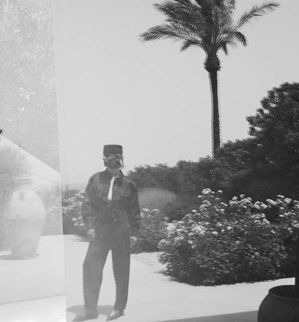 Model standing outdoors near bushes and a tall palm tree in a black and white fashion photograph by Carlotta Manaigo.