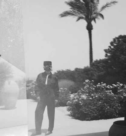 Model standing outdoors near bushes and a tall palm tree in a black and white fashion photograph by Carlotta Manaigo.