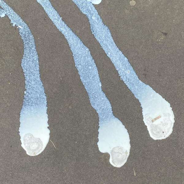 Close-up of three trails of white, dripped liquid on a brown surface. The liquid is textured, and the background is smooth.