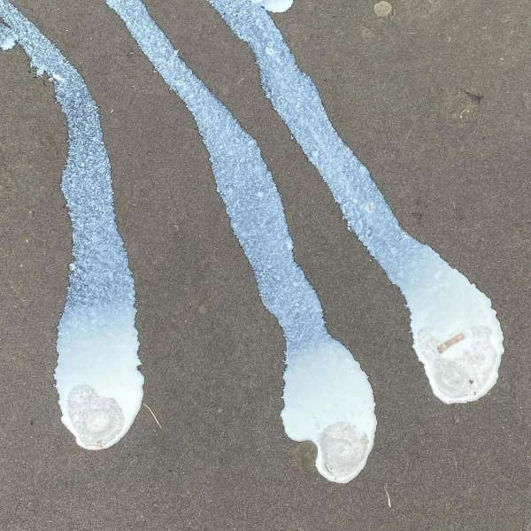Close-up of three trails of white, dripped liquid on a brown surface. The liquid is textured, and the background is smooth.