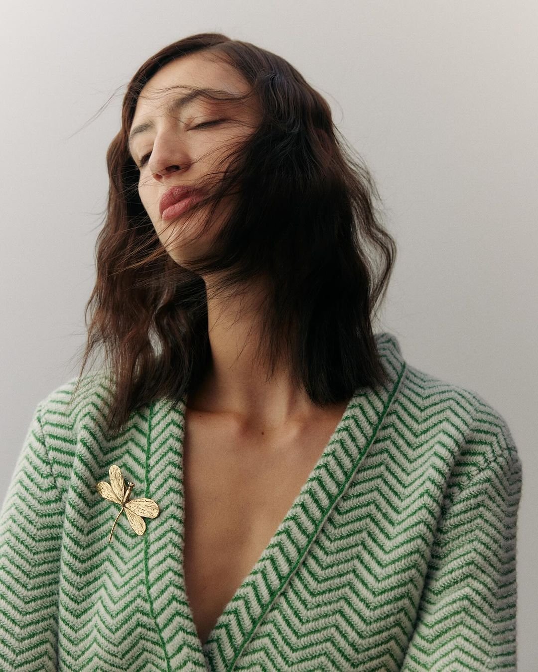 Portrait of a serene woman with closed eyes, golden dragonfly brooch, and a green-and-white chevron-patterned cardigan against a neutral backdrop.