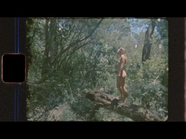 Woman stands on a fallen tree in a dense, green forest under a bright sky, captured with vintage film aesthetics and distinctive frame borders.