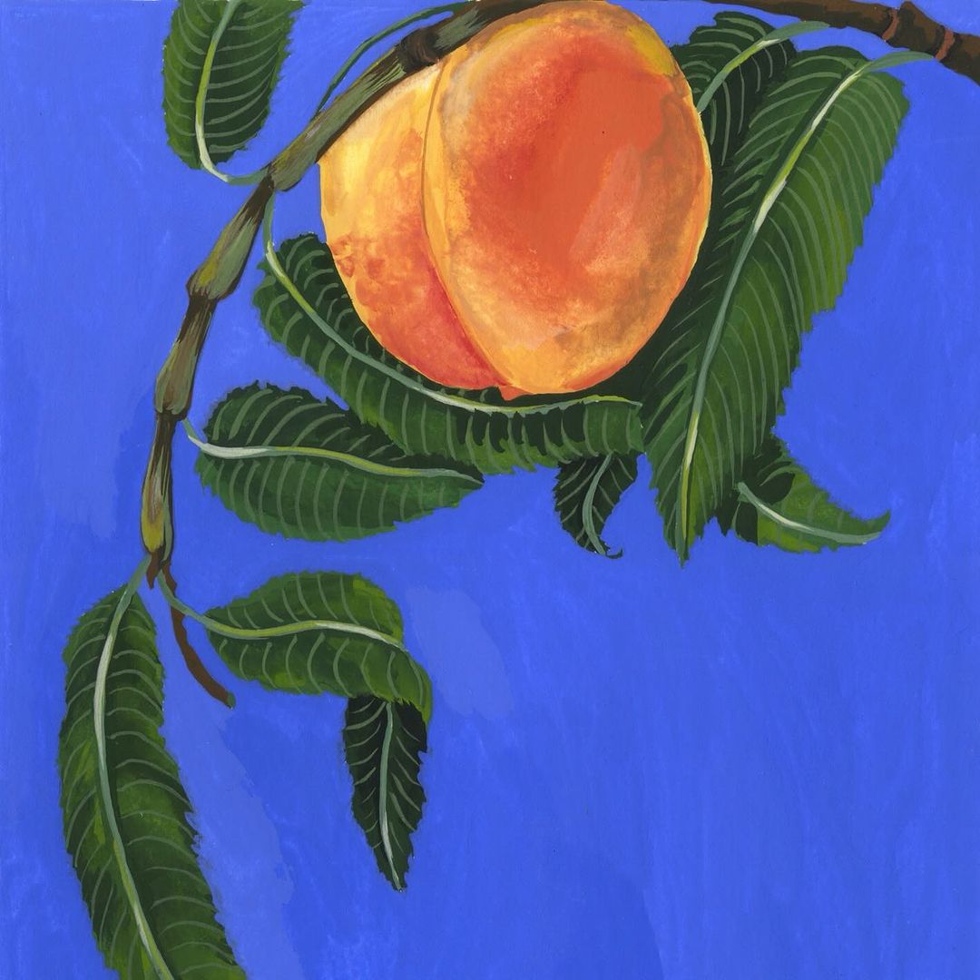 Painting of ripe peaches on a branch with green leaves against a vivid blue background, showcasing vibrant colors and natural beauty.