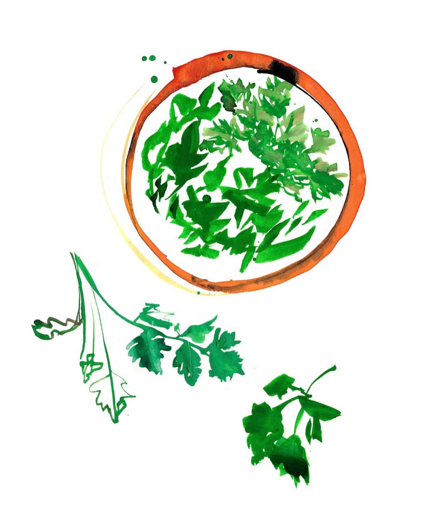 Watercolor painting of fresh green herbs in a brown ceramic bowl and sprigs on a white background, food illustration.