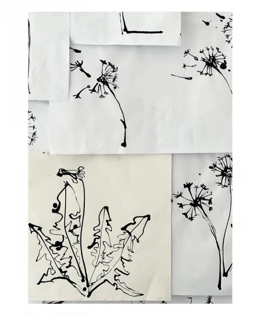 Black ink drawings of dandelions on white paper create an artistic collage, showcasing botanical art with a handcrafted feel and minimalist design.