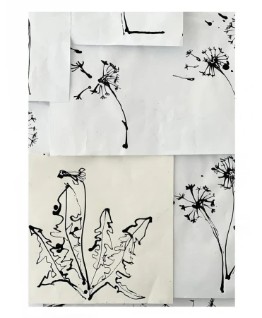 Black ink drawings of dandelions on white paper create an artistic collage, showcasing botanical art with a handcrafted feel and minimalist design.