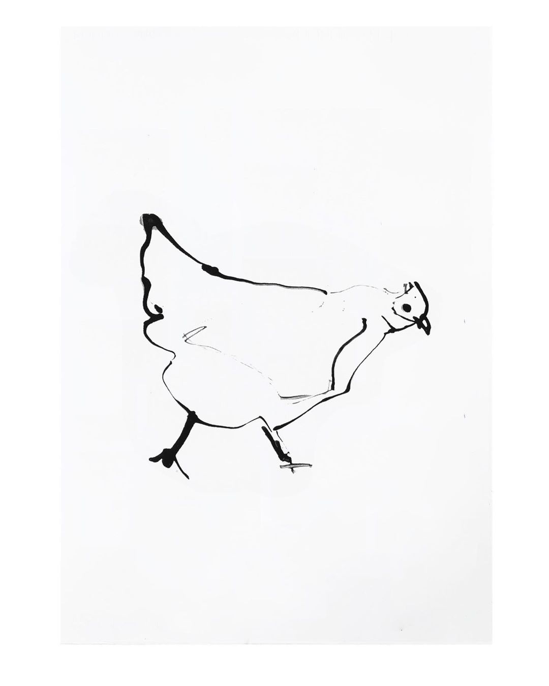 Illustration of a chicken walking, rendered in black ink on a white background, creating a simple yet striking visual composition.