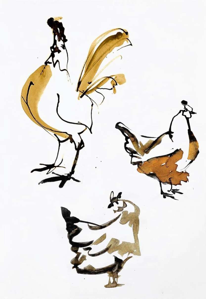 Illustration of three brown and black chickens against a white background, created in ink wash painting style.