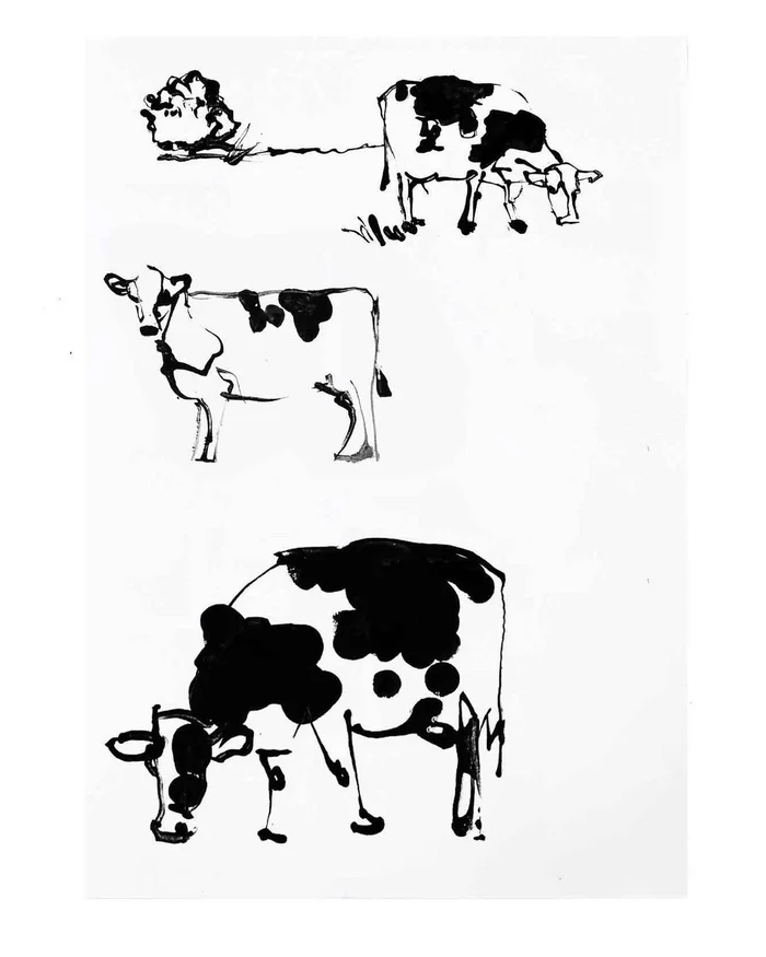 Black and white ink illustration of three spotted cows on a plain paper background by Caroline Tomlinson