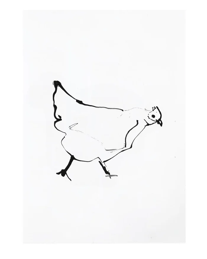 Minimalist black ink line drawing of a chicken on a plain white paper background by Caroline Tomlinson