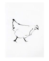 Minimalist black ink line drawing of a chicken on a plain white paper background by Caroline Tomlinson