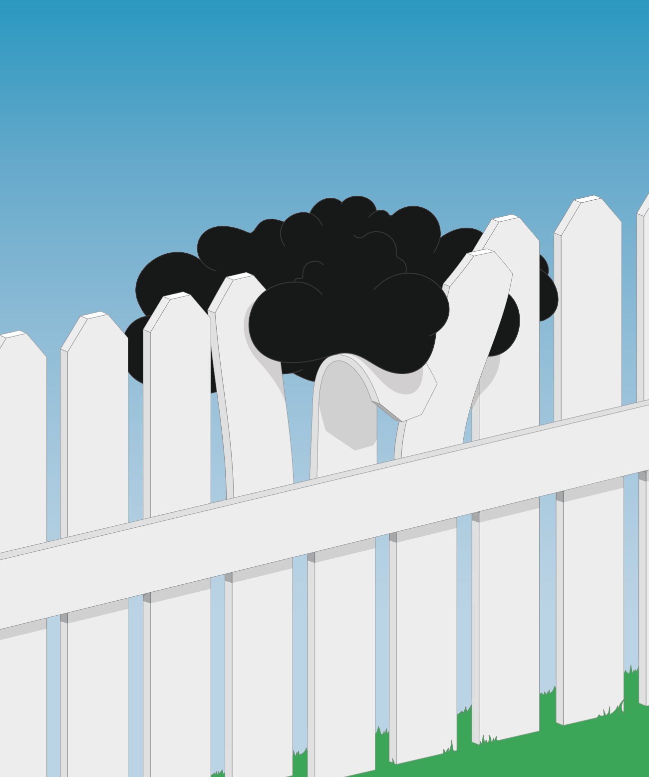 Illustration of a black and white cow peering over a white picket fence against a bright blue sky and green grass.