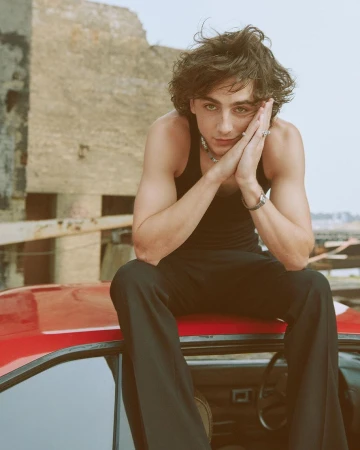 Portrait of actor Timothée Chalamet sitting on a red car roof, wearing a black tank top and dark trousers by Cass Bird.