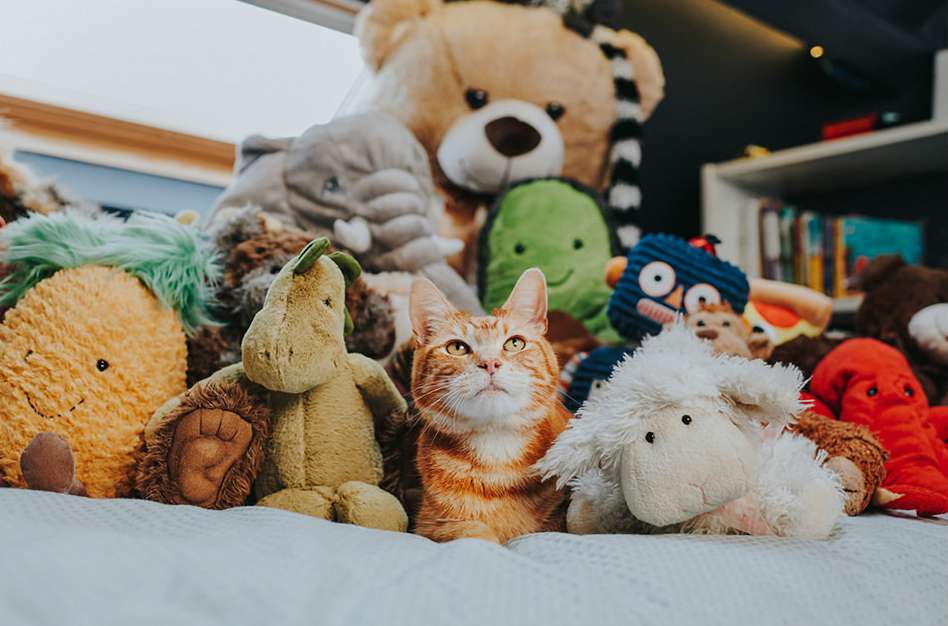 Orange tabby cat nestled among a collection of stuffed animals in a cheerful indoor setting, creating a cozy and playful scene.