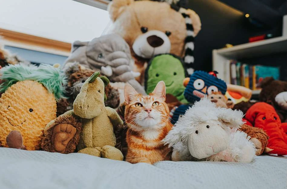 Orange tabby cat nestled among a collection of stuffed animals in a cheerful indoor setting, creating a cozy and playful scene.
