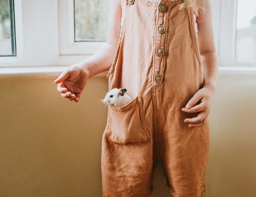 A young child in overalls holds a white hamster peeking out of a pocket, standing near a window in a softly lit indoor setting.