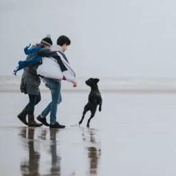 Two people walking on a sandy beach with a playful black dog jumping up near them under an overcast sky.