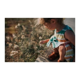 Young child in a striped dress crouching outdoors touching wildflowers by a stone ledge