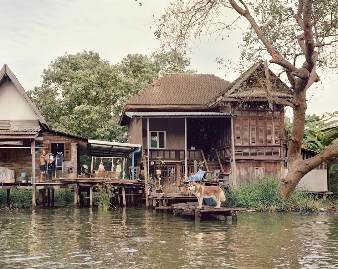Waterfront scene in Thailand featuring a traditional wooden house, a boy standing on a porch, and a dog on a platform over the water.