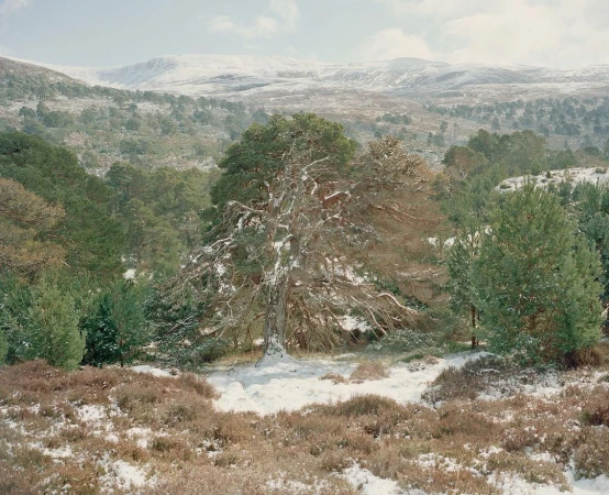 Catherine Hyland