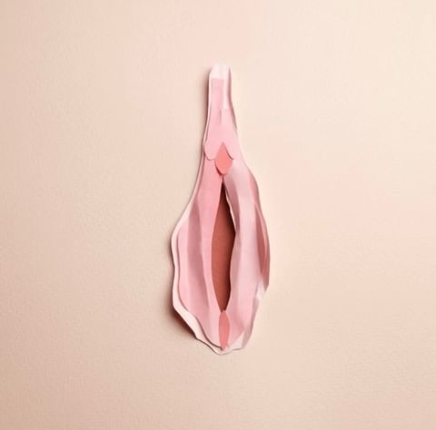 Abstract vulva paper art on a beige background. Shades of pink paper are layered to create an anatomical artwork.
