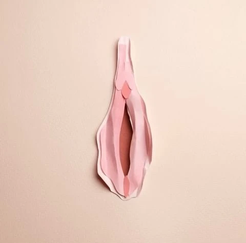 Abstract vulva paper art on a beige background. Shades of pink paper are layered to create an anatomical artwork.