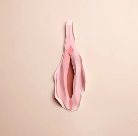 Abstract vulva paper art on a beige background. Shades of pink paper are layered to create an anatomical artwork.