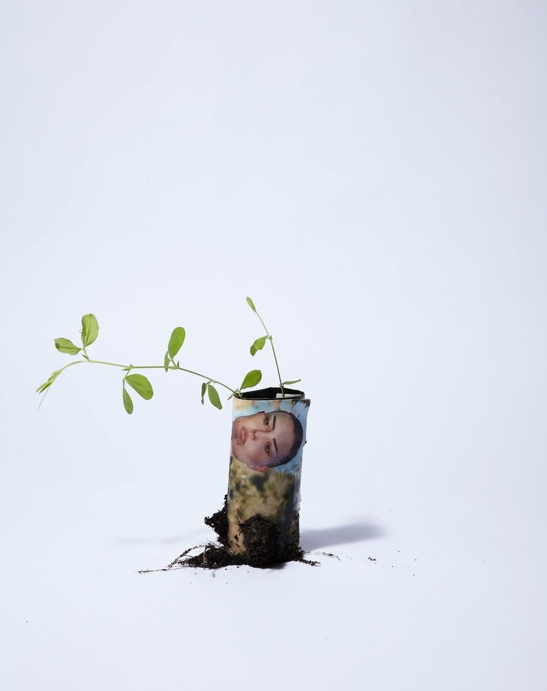 Conceptual studio shot of a green sprout growing from soil within a rolled banknote featuring a woman's face, set against a white background.