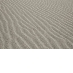 Rippled sand dunes showing wind-swept textures across a diagonal expanse with a solid white border below