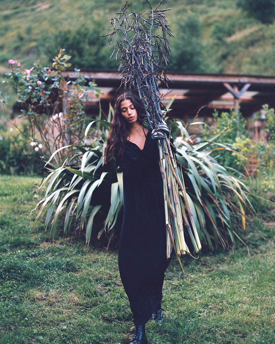 Adult female in long black dress carries bundle of cut reeds through a grassy field with green foliage and rural building background.