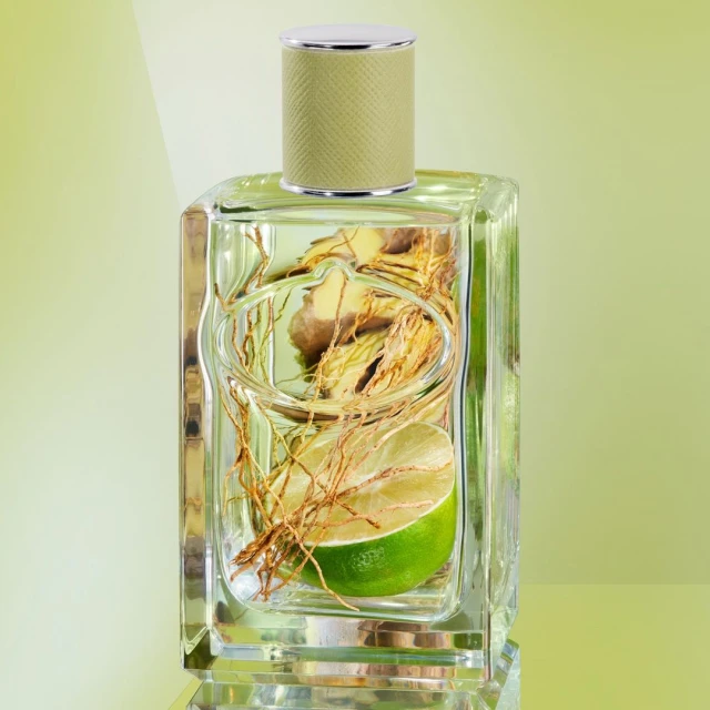 Close-up of a clear glass perfume bottle with a light green cap, filled with water, ginger root, and a half lime slice on a light green backdrop.
