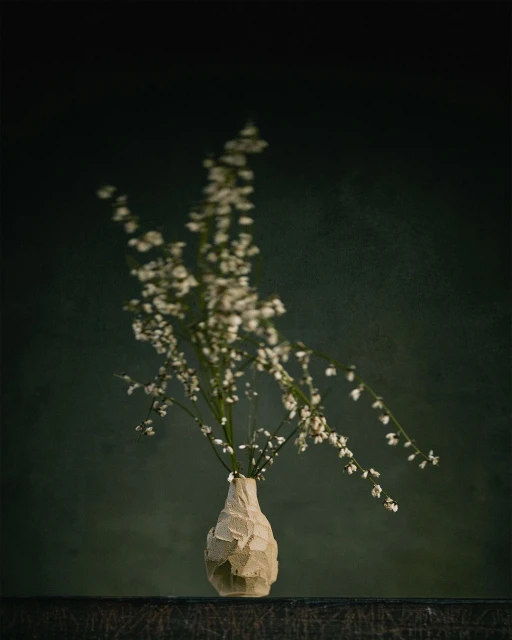 Still life photograph of a beige vase holding a flower arrangement with small white blossoms against a dark green background.