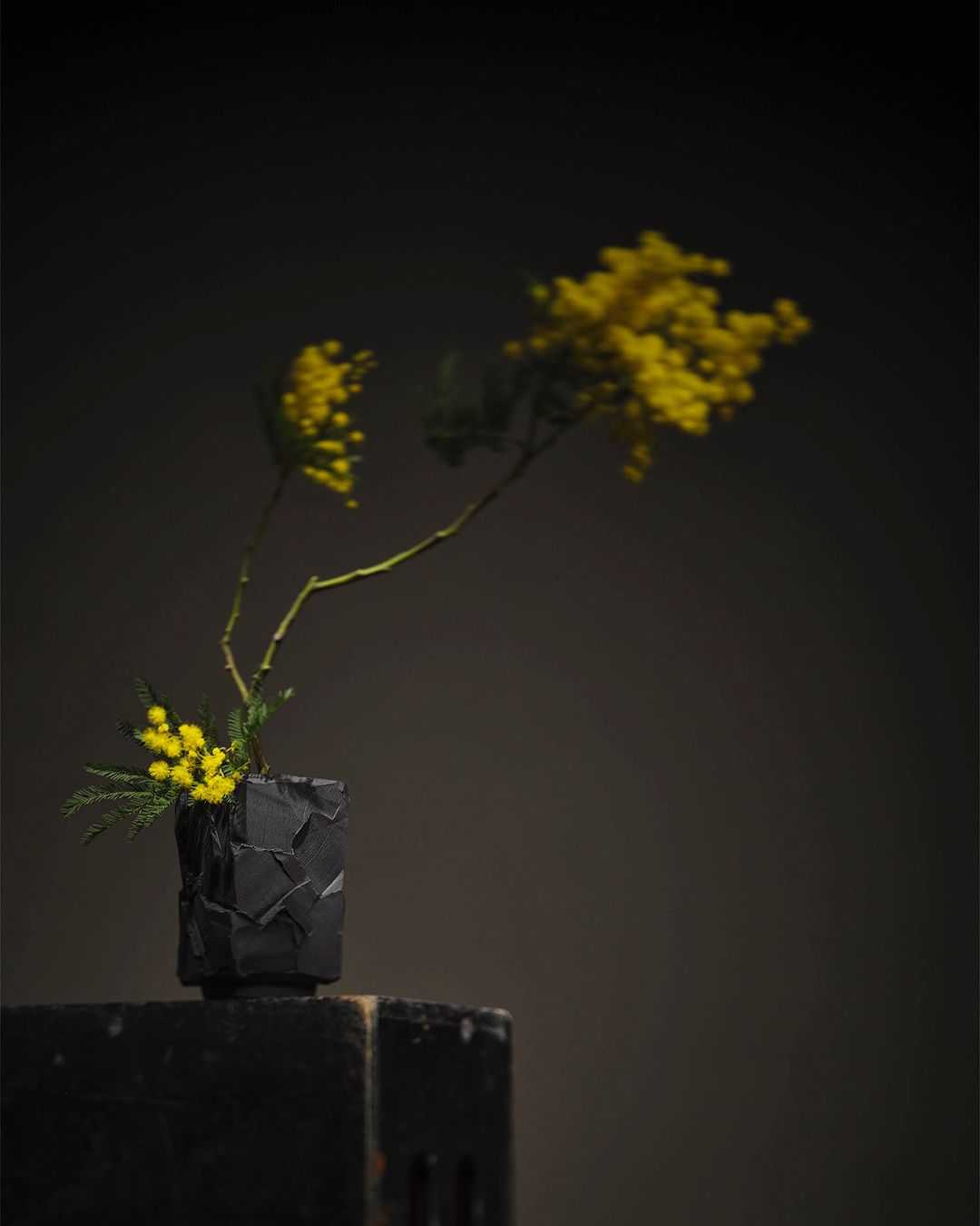 Still life photograph of a black geometric vase with yellow Mimosa flowers on a dark surface against a shadowy background.