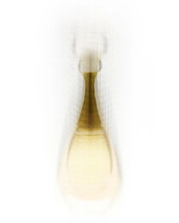 Close-up of a perfume bottle with a rounded bottom and thin neck, set against a clean white background in a beauty shot. 